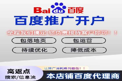 SEM代运营案例分析：精准投放策略解析